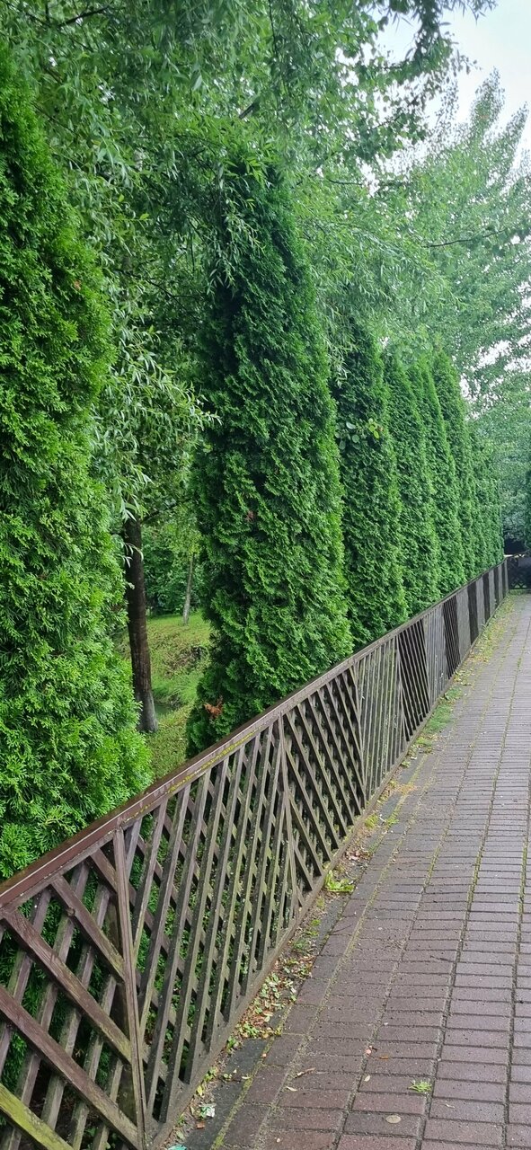 Гостиница Грин Парк Домодедово-181