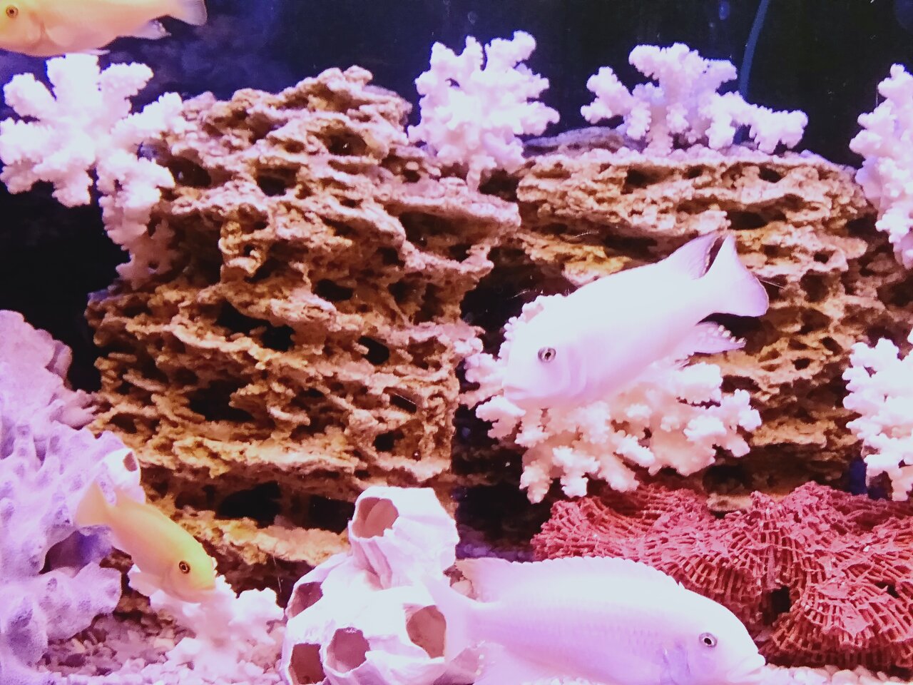 Гостиница Грин Парк Домодедово-212