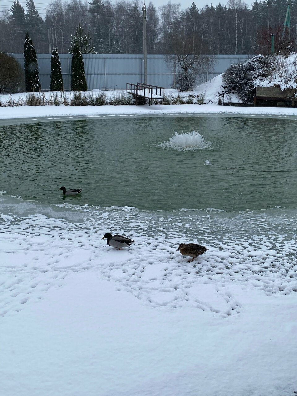 Гостиница Грин Парк Домодедово-219