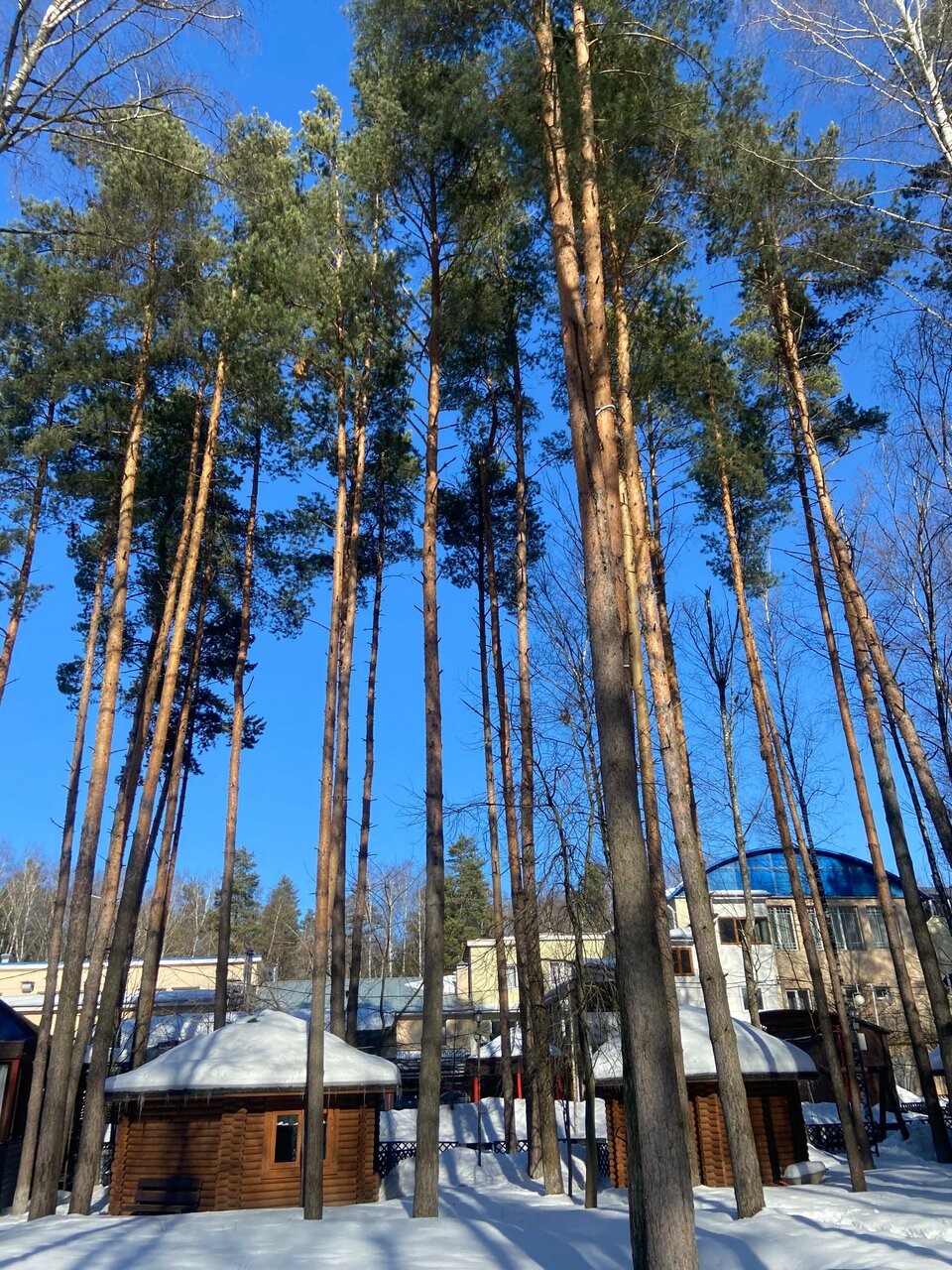 Гостиница Грин Парк Домодедово-230