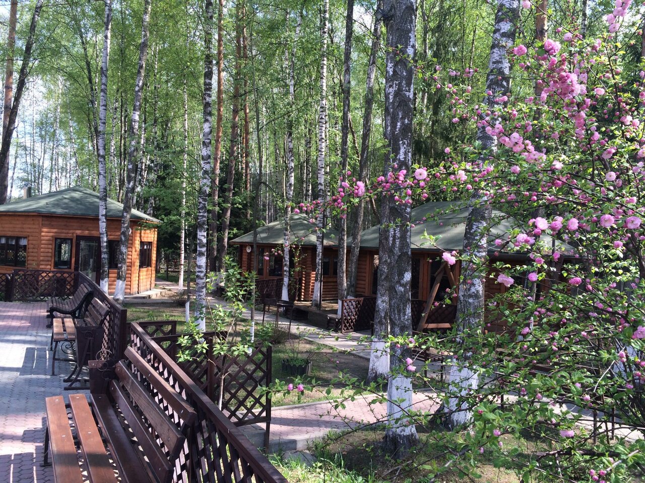 Гостиница Грин Парк Домодедово-53