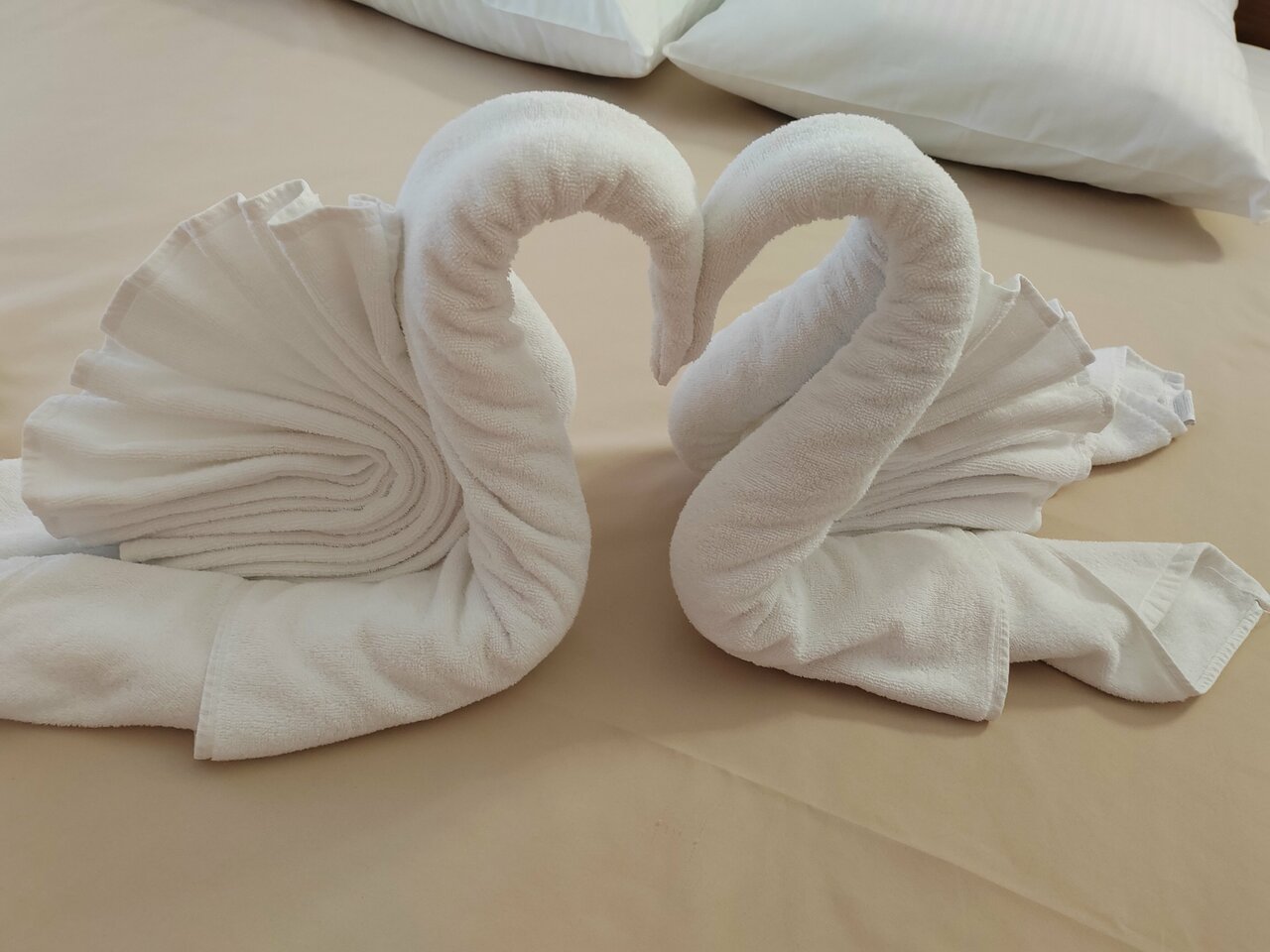 Гостиница Грин Парк Домодедово-176