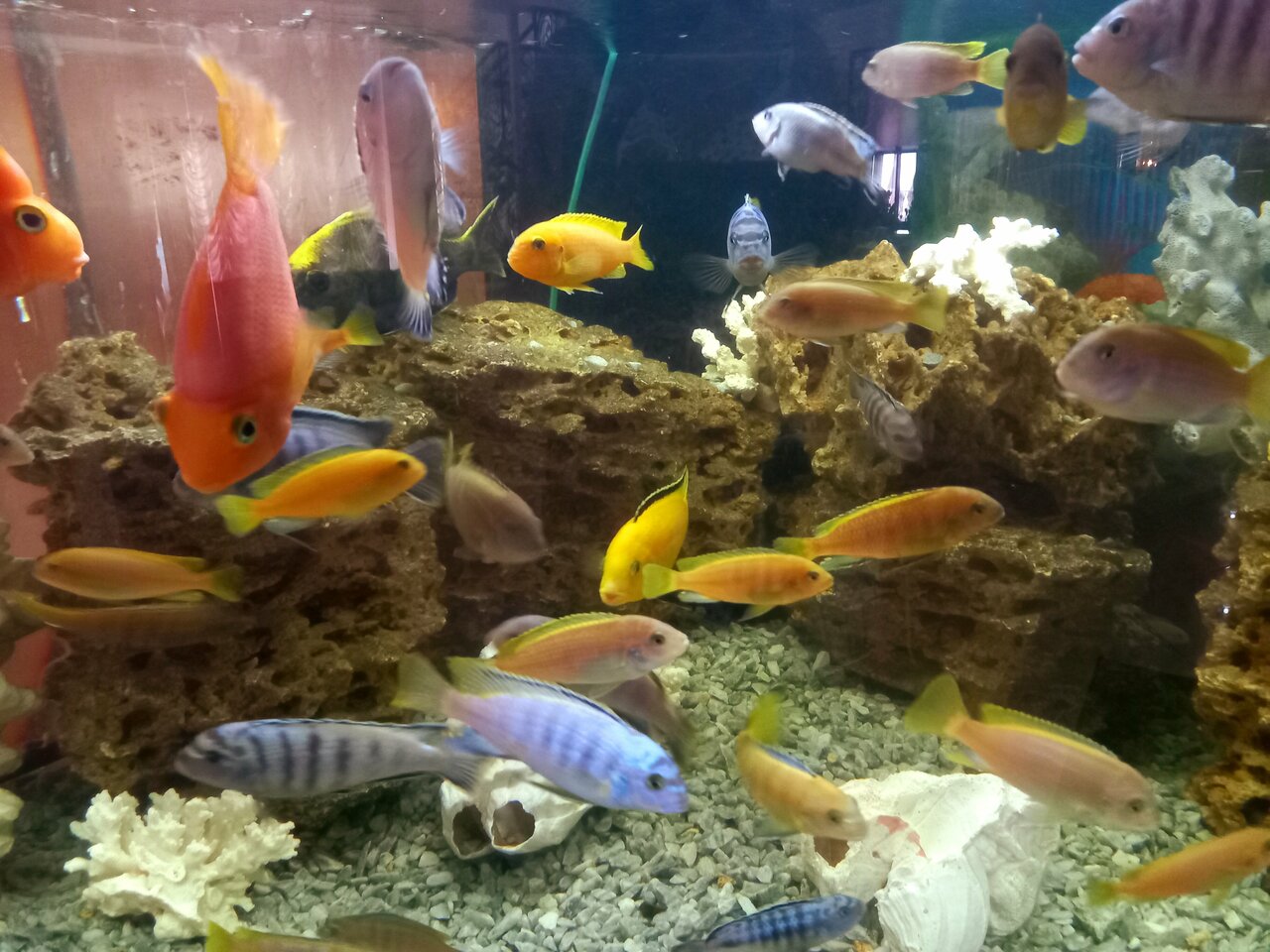 Гостиница Грин Парк Домодедово-180