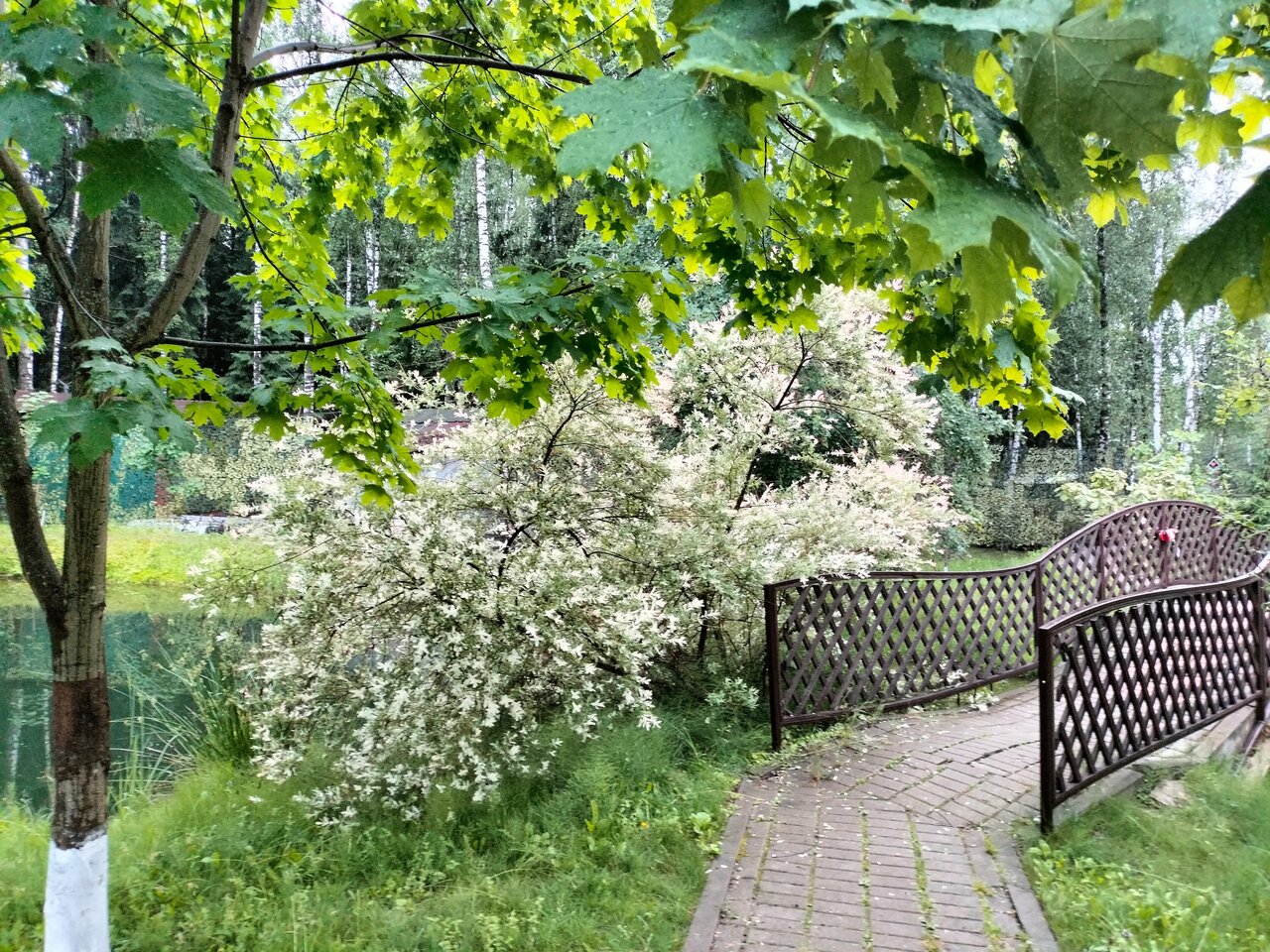 Гостиница Грин Парк Домодедово-172