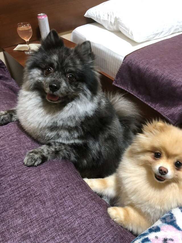 Гостиница Грин Парк Домодедово-172