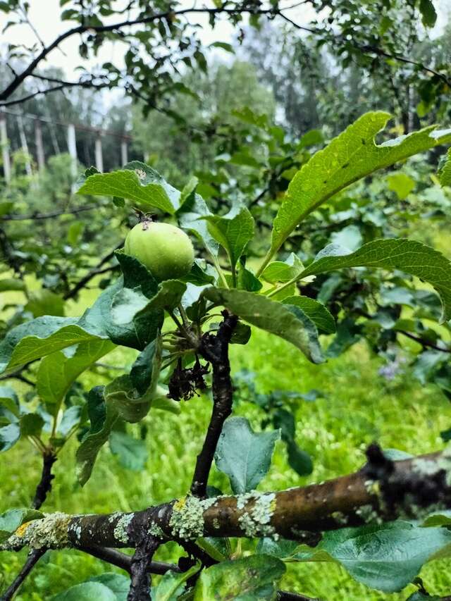 Гостиница Грин Парк Домодедово-215
